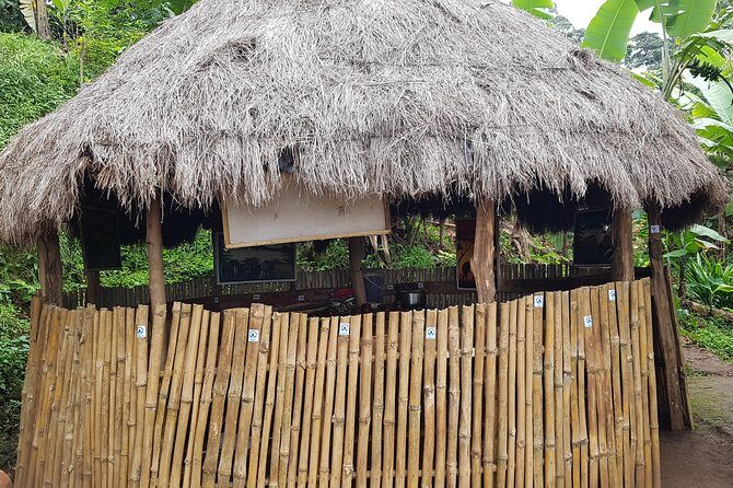 Materuni Waterfall and Coffee tour, Tanzania - Who Will Love This Tour?