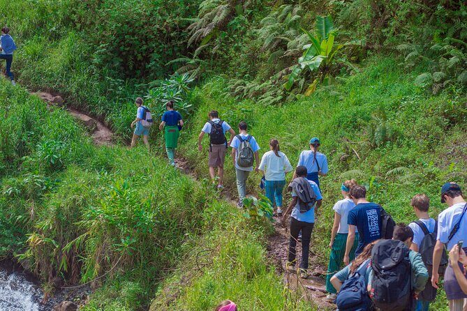 Materuni Waterfall and Kikuletwa Hot Spring Tour - An In-Depth Look at the Tour