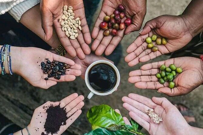 Materuni Waterfall Coffee Tour and Chemka Hot Springs Experience - Introduction
