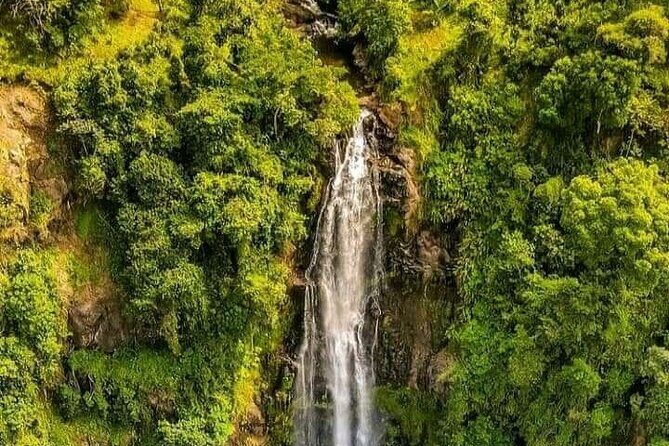 Materuni Waterfall Coffee Tour and Chemka Hot Springs Experience - The Itinerary in Detail