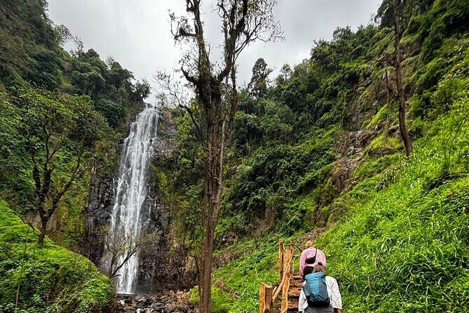 Materuni Waterfall Coffee Tour and Chemka Hot Springs Experience - Practical Tips and Considerations