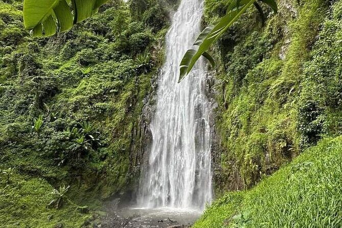 Materuni waterfall , coffee tour and hotsprings (chemka ) - Key Points