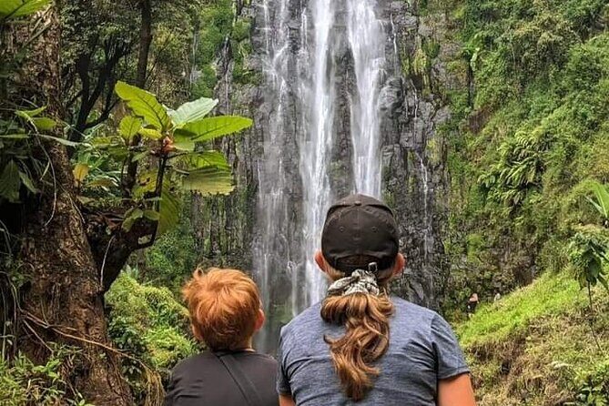 Materuni waterfall , coffee tour and hotsprings (chemka ) - What Makes This Tour Stand Out?