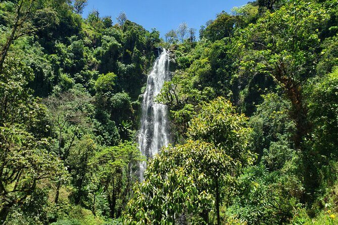 Materuni Waterfall, Coffee Tour and Picnic Hot Lunch - What Travelers Are Saying