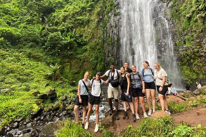 Materuni Waterfall, Coffee Tour and Picnic Hot Lunch - Who Would Love This Tour?