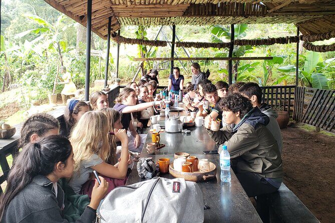 Materuni Waterfall, Coffee Tour and Picnic Hot Lunch - FAQ