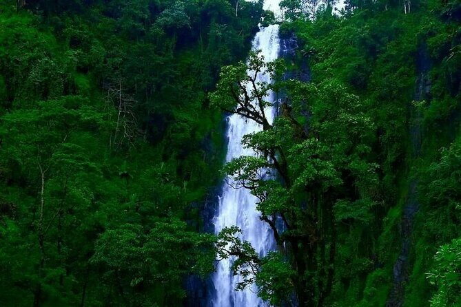 Materuni waterfall - coffee tour OR Chemka hot spring Tour - What’s Included and What to Keep in Mind