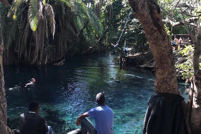 Materuni waterfall - coffee tour OR Chemka hot spring Tour - Why This Tour Offers Great Value