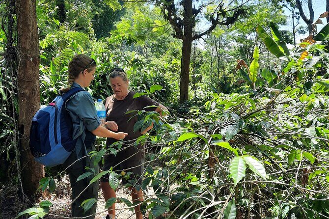 Materuni waterfalls and coffee Tour - Final Thoughts