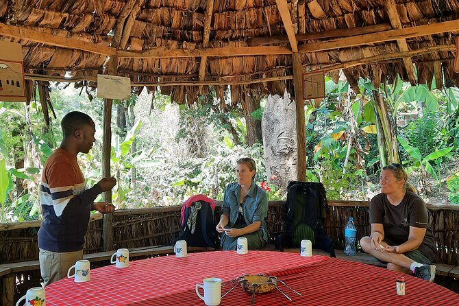 Materuni waterfalls and coffee Tour - FAQ