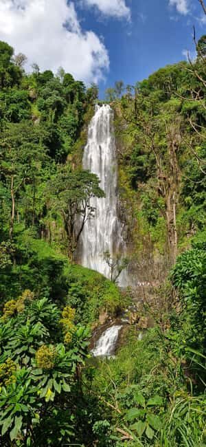 Materuni Waterfalls, Chemka Hot Springs, &/Or Coffee Tour - Who Should Consider This Tour?