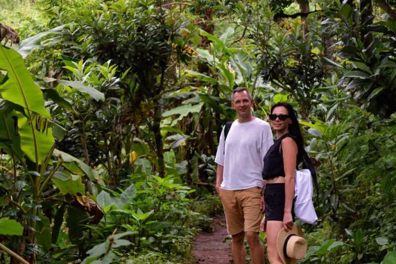 Materuni Waterfalls, Chemka Hot Springs, &/Or Coffee Tour - An Overview of What to Expect