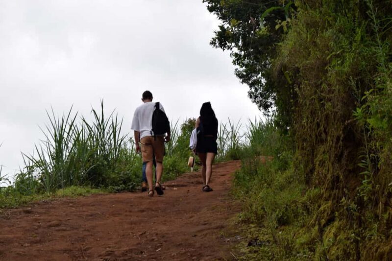 Materuni Waterfalls, Chemka Hot Springs, &/Or Coffee Tour - Authentic Insights from Travelers