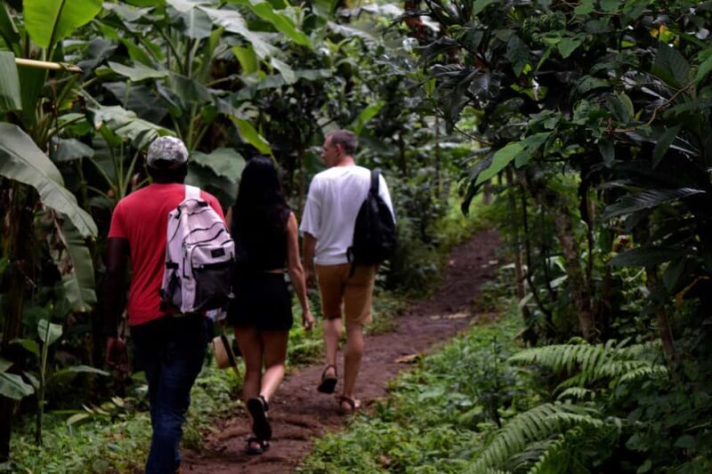 Materuni Waterfalls, Chemka Hot Springs, &/Or Coffee Tour - FAQs