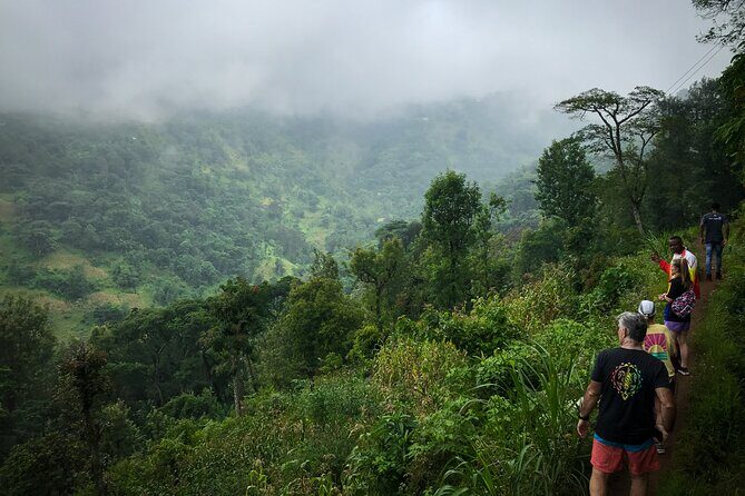 MATERUNI waterfalls, coffe tour & kikuletwa hotsprings - The Sum Up
