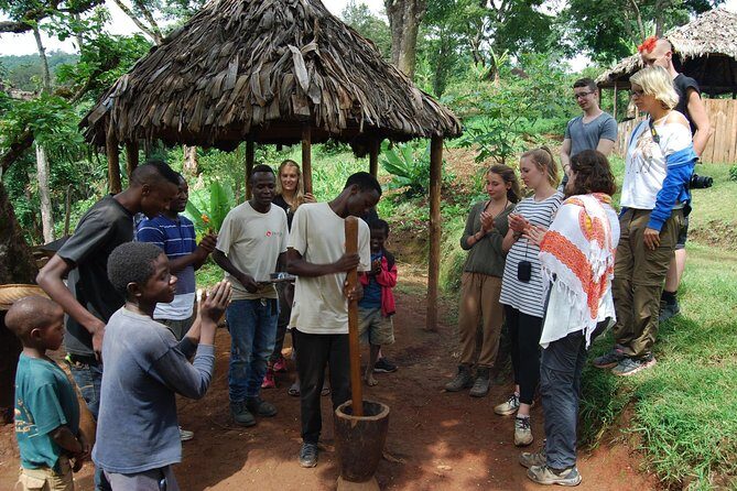 Materuni Waterfalls, Coffee and Village Full Day Tour - Value for Money: What Makes This Tour Stand Out?