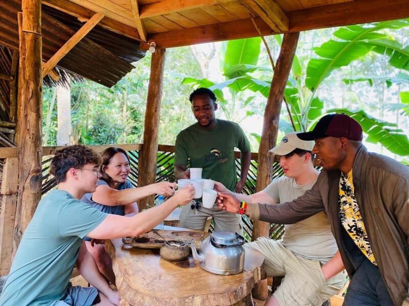 Materuni Waterfalls : Coffee Farm, and Hot Springs Day Trip - Key Points