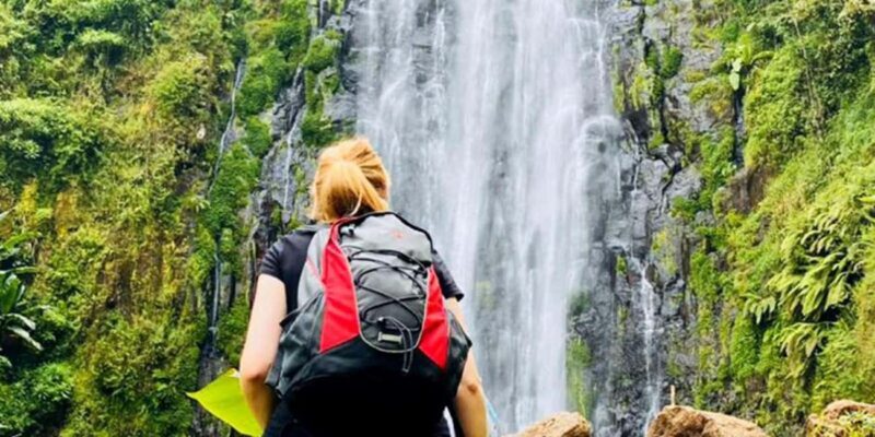 Materuni Waterfalls, Coffee & Hot Springs Day Tour - The Sum Up