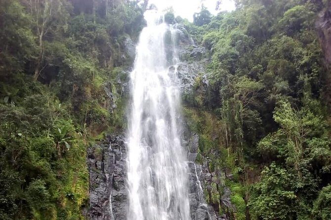 Materuni Waterfalls & Coffee making Cultural Tour | BURIGI CHATO SAFARIS LTD - A Deep Dive into the Materuni Waterfalls & Coffee Tour
