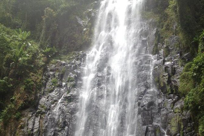 Materuni Waterfalls & Coffee Tour from Moshi - Introduction
