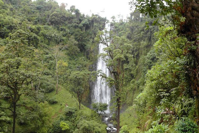 Materuni Waterfalls & Coffee Tour from Moshi - Practical Tips for a Smooth Day