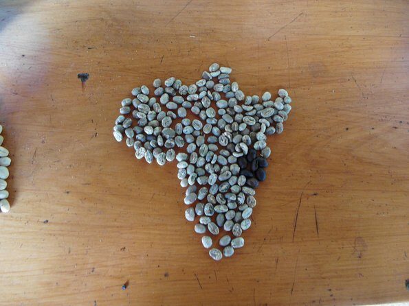 Materuni Waterfalls & Coffee Tour from Moshi - Pricing and Value