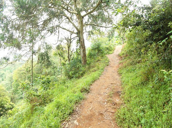 Materuni Waterfalls & Coffee Tour from Moshi - Who Will Love This Tour?