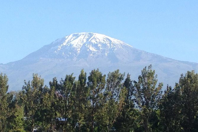 Materuni Waterfalls & Coffee Tour from Moshi - FAQs