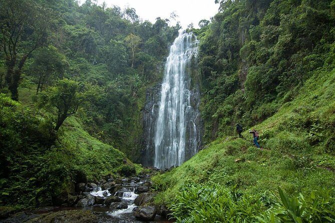 Materuni Waterfalls, coffee tour & Kikuletwa Hot Springs - Exploring Tanzania’s Natural Wonders: Materuni Waterfalls, Coffee Tour & Kikuletwa Hot Springs