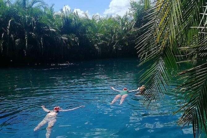 Materuni Waterfalls, coffee tour & Kikuletwa Hot Springs - What’s the Value?