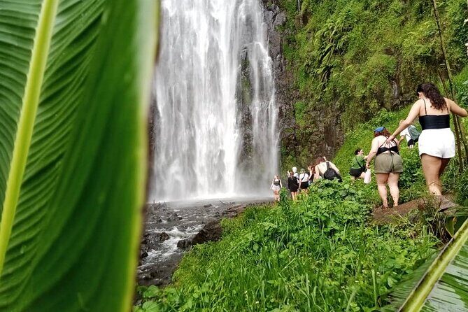 Materuni Waterfalls Hiking Tour with Coffee and Traditional Meal - Discovering the Beauty of Materuni