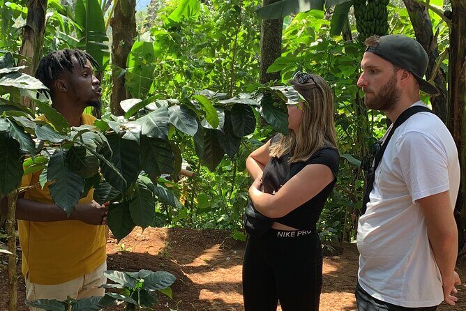 Materuni Waterfalls Hiking Tour with Coffee and Traditional Meal - FAQ