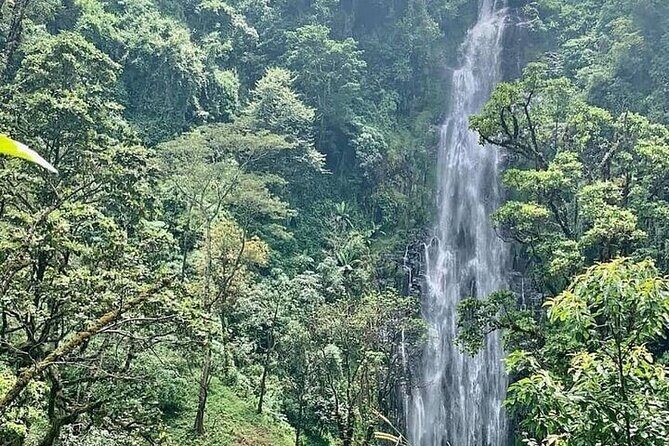 Materuni Waterfalls, Kikuletwa Chemka Hot springs, Coffee tour - An In-Depth Look at the Tour Experience