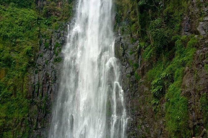 Materuni Waterfalls, Kikuletwa Chemka Hot springs, Coffee tour - What You Should Know Before Booking