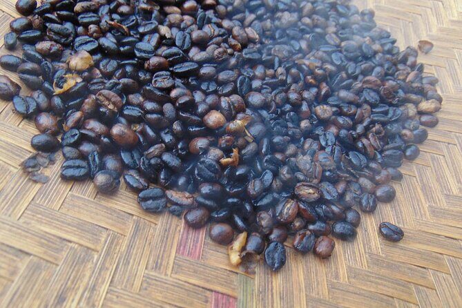 Materuni waterfalls,coffee tour & Kikuletwa(Chemka)Hot Springs - The Downside? A Few Considerations