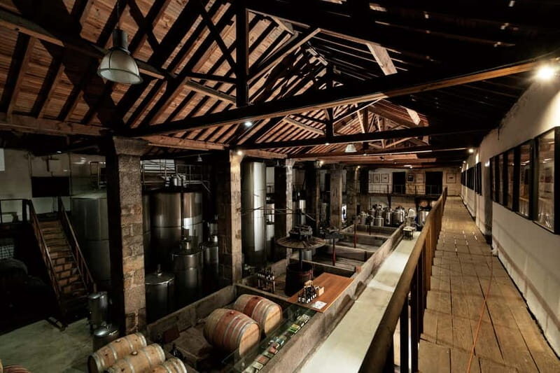 Mateus Palace - In the Footsteps of Wine History - A Closer Look at the Tour Experience