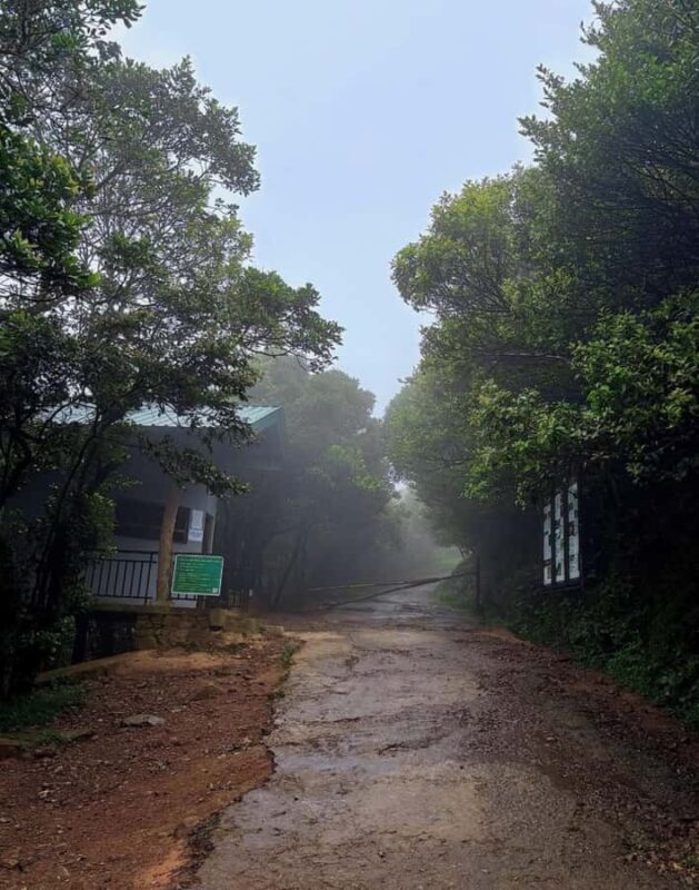 Mathale/Kandy: Riverston Peak Tour with Transfers - FAQs