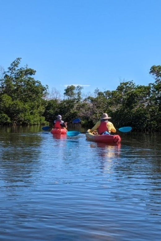 matlacha-dolphin-and-mangrove-kayak-tour