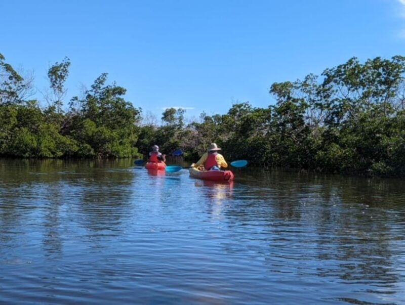 matlacha-dolphin-and-mangrove-kayak-tour