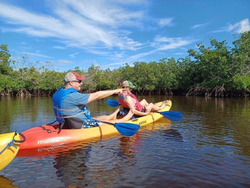 matlacha-dolphin-and-mangrove-kayak-tour