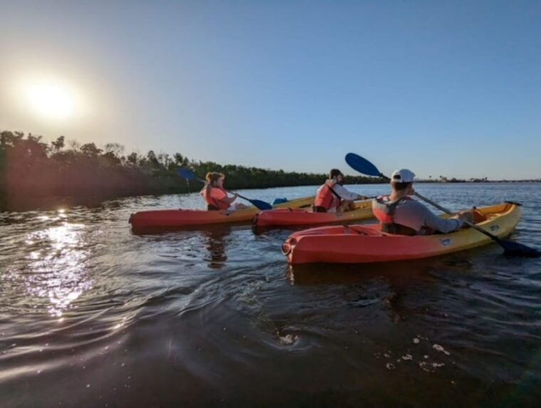 matlacha-dolphin-and-mangrove-kayak-tour