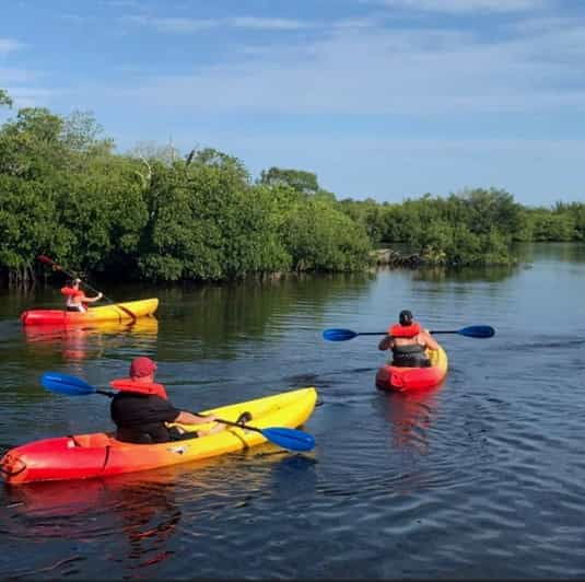 matlacha-dolphin-and-mangrove-kayak-tour