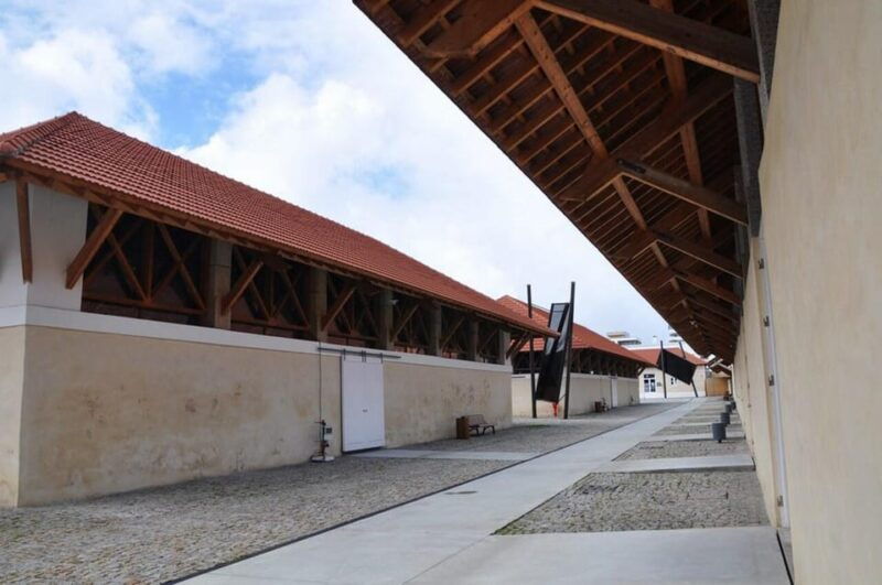 matosinhos-porto-from-the-sea-to-your-plate-food-tour