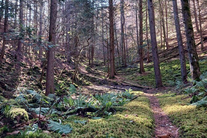 Matsumoto Mt.Hachibuse - FAQ