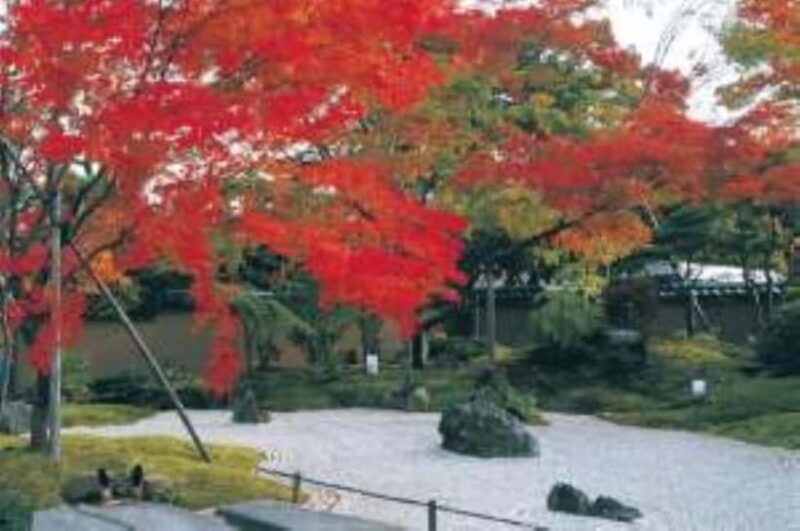 Matsushima: Autumn Half-Day Tour by Land, Sea, and Air - Key Points