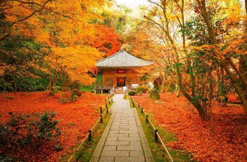 Matsushima: Scenic Bay Walk & Historic Temple Discovery - Final Thoughts: Who Will Love This Tour?