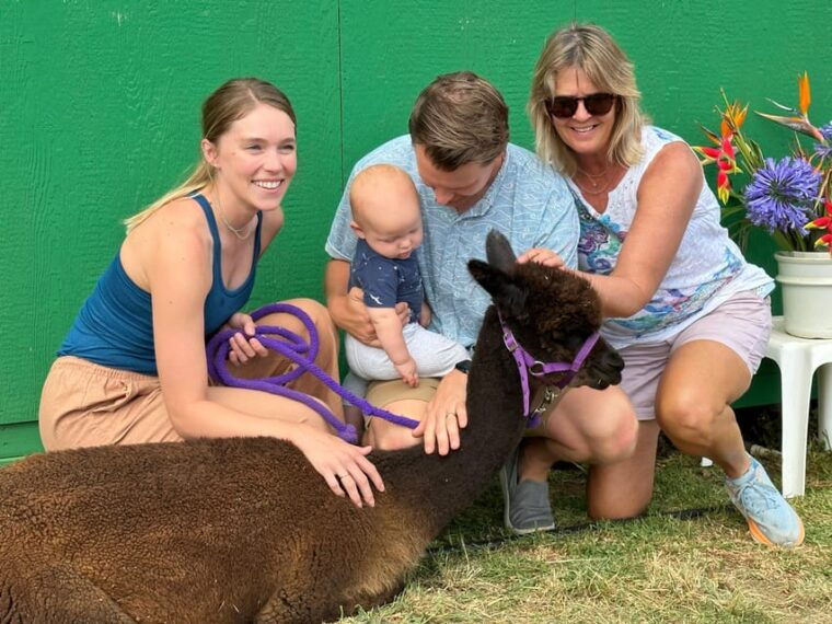 maui-alpaca-farm-visit-with-hands-on-activities