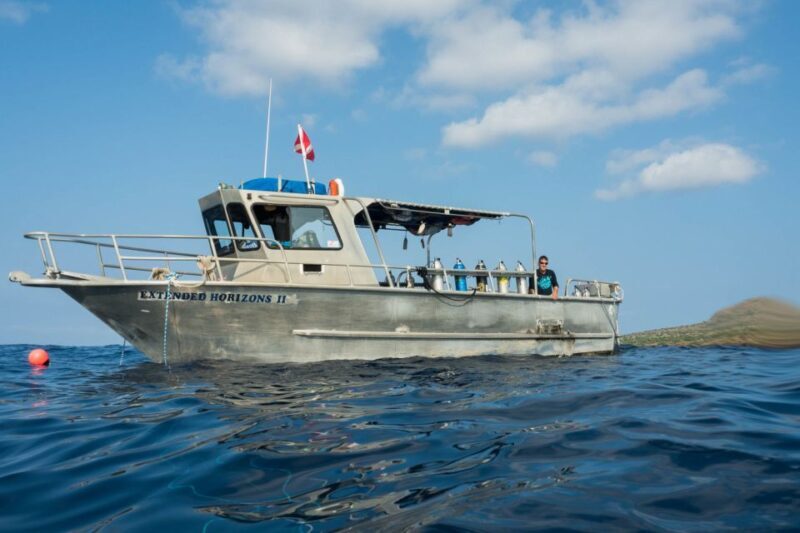 Maui: Beginner Discovery Scuba Dive Excursion from Lahaina - Key Points
