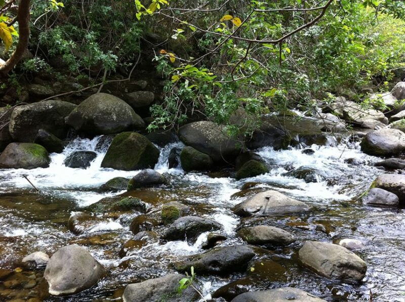 maui-best-of-maui-haleakala-sips-sites-bites