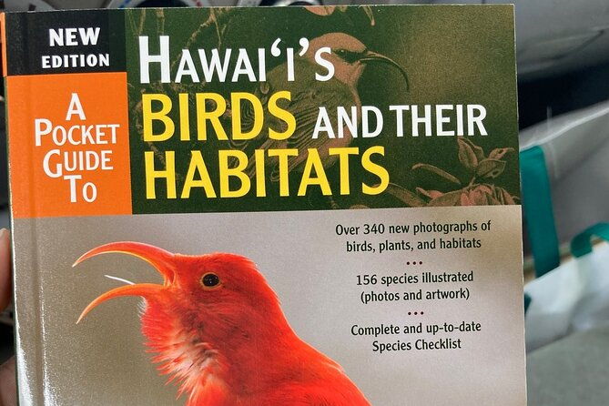 maui-birdwatching-at-maui-bird-house